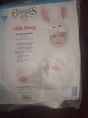 Charades Little Bunny Kids White Costume with Pink Accents